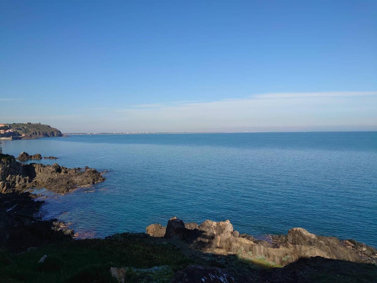 4Rb4 Appartement Type T2 Bord De Mer Acces Plage Direct Collioure Eksteriør bilde